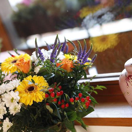 Ferienresort Am Mattenweg Hinterzarten Kültér fotó